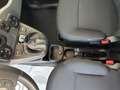 Fiat Panda Panda Cross 1.0 FireFly S&S Hybrid Verde - thumbnail 14