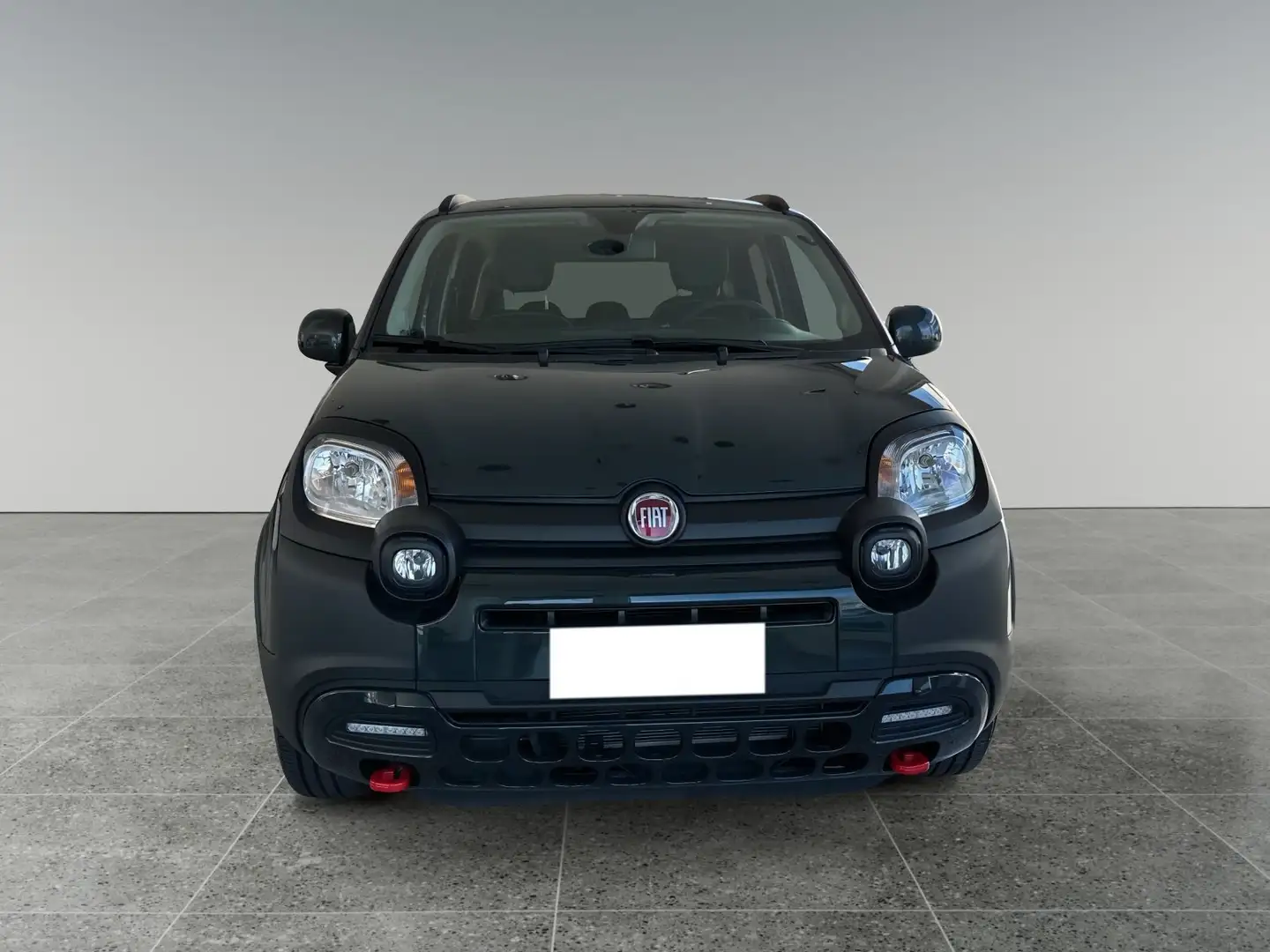 Fiat Panda Panda Cross 1.0 FireFly S&S Hybrid Verde - 2