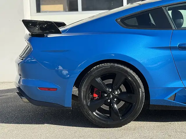 Ford Mustang 5,0 Ti-VCT V8 GT|SHELBY GT LOOK Ansicht 9