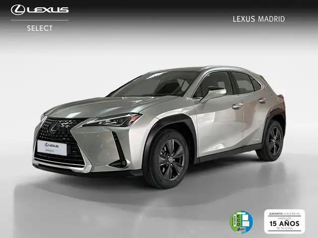 Lexus UX 250h Business Navigation 4WD