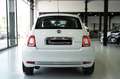 Fiat 500 Club 1.0 Hybrid 51KW (70 CV) Blanco - thumbnail 12