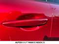 Mazda CX-60 AWD PHEV HOMURA Con-P Dri-P Com-P 360 BOSE Rouge - thumbnail 16