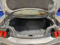 Ford Mustang Fastback 5.0 V8 Aut. Dark Horse Gris - thumbnail 7