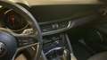 Alfa Romeo Stelvio Stelvio 2.2 Turbodiesel 210 CV AT8 Q4 Executive Rood - thumbnail 19