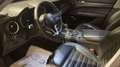 Alfa Romeo Stelvio Stelvio 2.2 Turbodiesel 210 CV AT8 Q4 Executive Rood - thumbnail 16