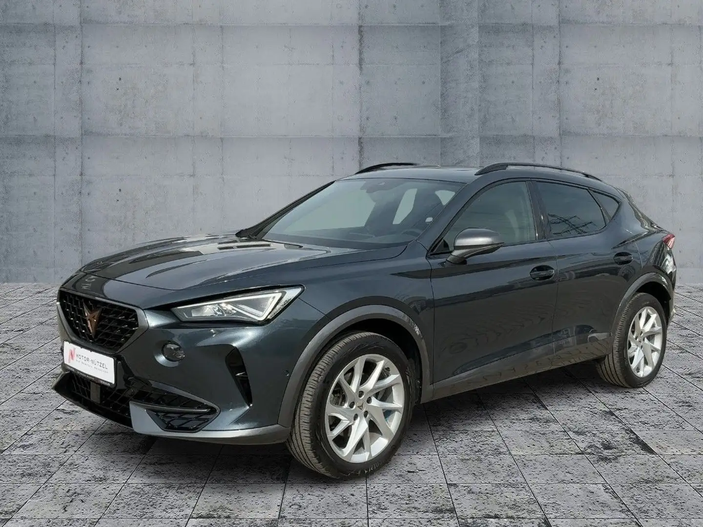 CUPRA Formentor 1.5 TSI LED+AHK+PANO+ACC+DAB+SHZ+18Z. Grau - 2