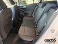 Ford Focus Turnier Active 1.0 EcoBoost EU6d-T Weiß - thumbnail 13