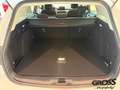 Ford Focus Turnier Active 1.0 EcoBoost EU6d-T Weiß - thumbnail 14