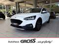 Ford Focus Turnier Active 1.0 EcoBoost EU6d-T Weiß - thumbnail 1