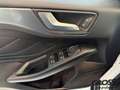 Ford Focus Turnier Active 1.0 EcoBoost EU6d-T Weiß - thumbnail 12