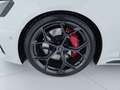 Audi RS4 RS4 RS 4 Avant 2.9 TFSI Quattro Wit - thumbnail 8