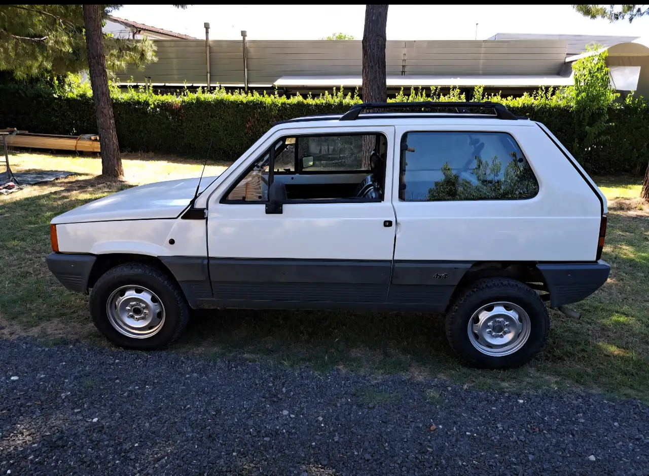 Fiat Panda 1.0 4x4 my84, foto 9