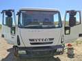 Iveco Sonstige LKW 7,5to EuroCargo Kipper Weiß - thumbnail 1