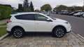 Toyota RAV 4 RAV4 2,5 Hybrid 4WD HSD Lounge (Standheizung) Weiß - thumbnail 3