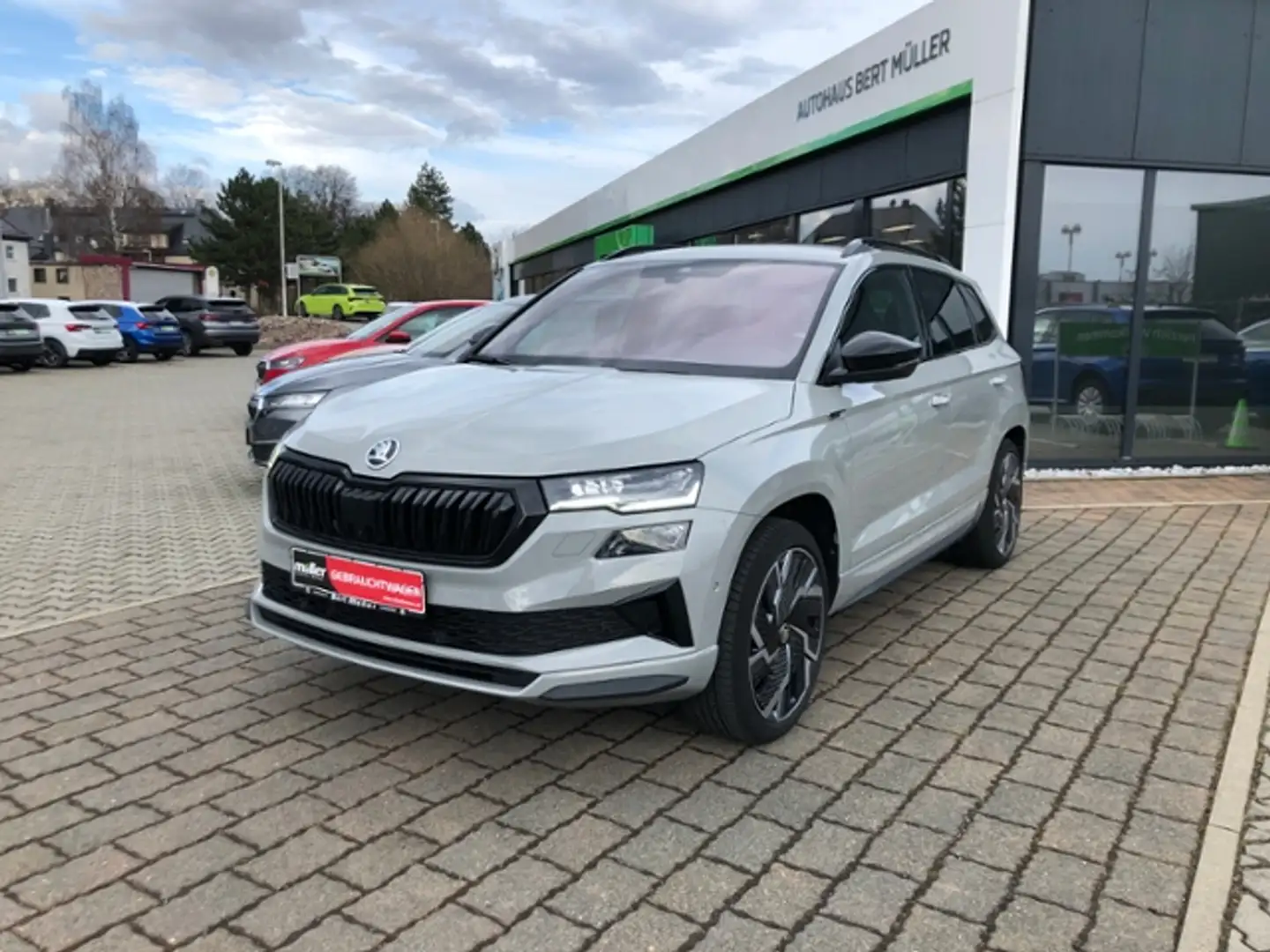 Skoda Karoq Sportline TDI 4X4 Navi AHZV Area View 19" Grau - 2