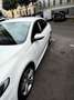 Volkswagen CC 2.0 TDI BlueMotion Technology Dynamic Black - thumbnail 6