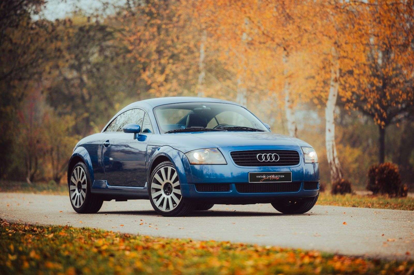 Second hand Audi Tt 1.8