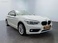 BMW 116 II (F21-F20) 116DA 116CH BUSINESS 3P Blanco - thumbnail 13