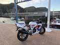 Honda CBR 900 Fireblade SC28 Blanco - thumbnail 8