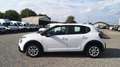 Citroen C3 BlueHDi 100 S&S Van Feel Bianco - thumbnail 9