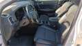 Kia Sportage 2,0 CRDI AWD Gold Aut. Allrad mit Automat Weiß - thumbnail 8