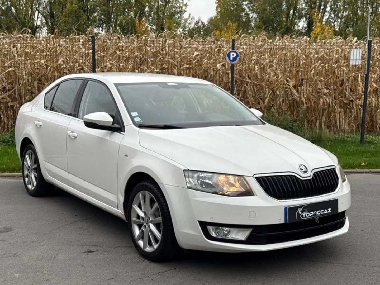 Skoda Octavia 1.6 TDI 110CH GREEN TEC EDITION * 2017 * GPS * GARANTIE Blanc - 2