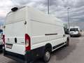 Peugeot Boxer Kasten Grossraum 435 L4H3 Premium BlueHDi Weiß - thumbnail 11