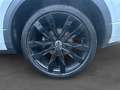 Volkswagen T-Roc T-Roc 2.0 TDI 150 Start/Stop DSG7 4Motion R-Line Weiß - thumbnail 20