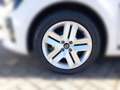 Renault Clio CLIO Evolution TCe 90 Bianco - thumbnail 7