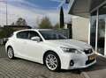 Lexus CT 200h Luxury Line TREKHAAK+MARK LEVINSON+MEMORY+LED Blanco - thumbnail 7