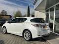 Lexus CT 200h Luxury Line TREKHAAK+MARK LEVINSON+MEMORY+LED Blanco - thumbnail 10