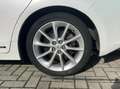 Lexus CT 200h Luxury Line TREKHAAK+MARK LEVINSON+MEMORY+LED Blanco - thumbnail 13