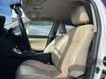Lexus CT 200h Luxury Line TREKHAAK+MARK LEVINSON+MEMORY+LED Blanco - thumbnail 6