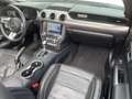 Ford Mustang 5.0 L V8 GT Navi/SHZ/Leder Blanc - thumbnail 10