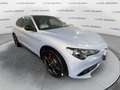 Alfa Romeo Stelvio 2.2 Turbodiesel 210 CV AT8 Q4 Veloce *TETTO, VARI Grigio - thumbnail 3