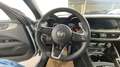 Alfa Romeo Stelvio 2.2 Turbodiesel 210 CV AT8 Q4 Veloce *TETTO, VARI Grigio - thumbnail 10