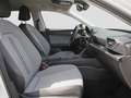 SEAT Leon ST 1,0 eTSI DSG Style,LED,Kamera,ACC Sitz/Lenkr... Weiß - thumbnail 6