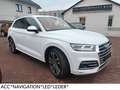 Audi SQ5 3.0 TDI quattro*ACC*TOTWINKEL*SPURHALTE* Weiß - thumbnail 1
