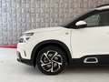 Citroen C5 Aircross 1.6 hybrid phev Shine 225 e-eat8 - IVA ESPOSTA Bianco - thumbnail 3