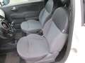 Fiat 500 1.2 Naked Weiß - thumbnail 13
