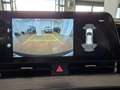 Kia Sportage Sportage 1.6 TGDi GPL Business Green - thumbnail 14