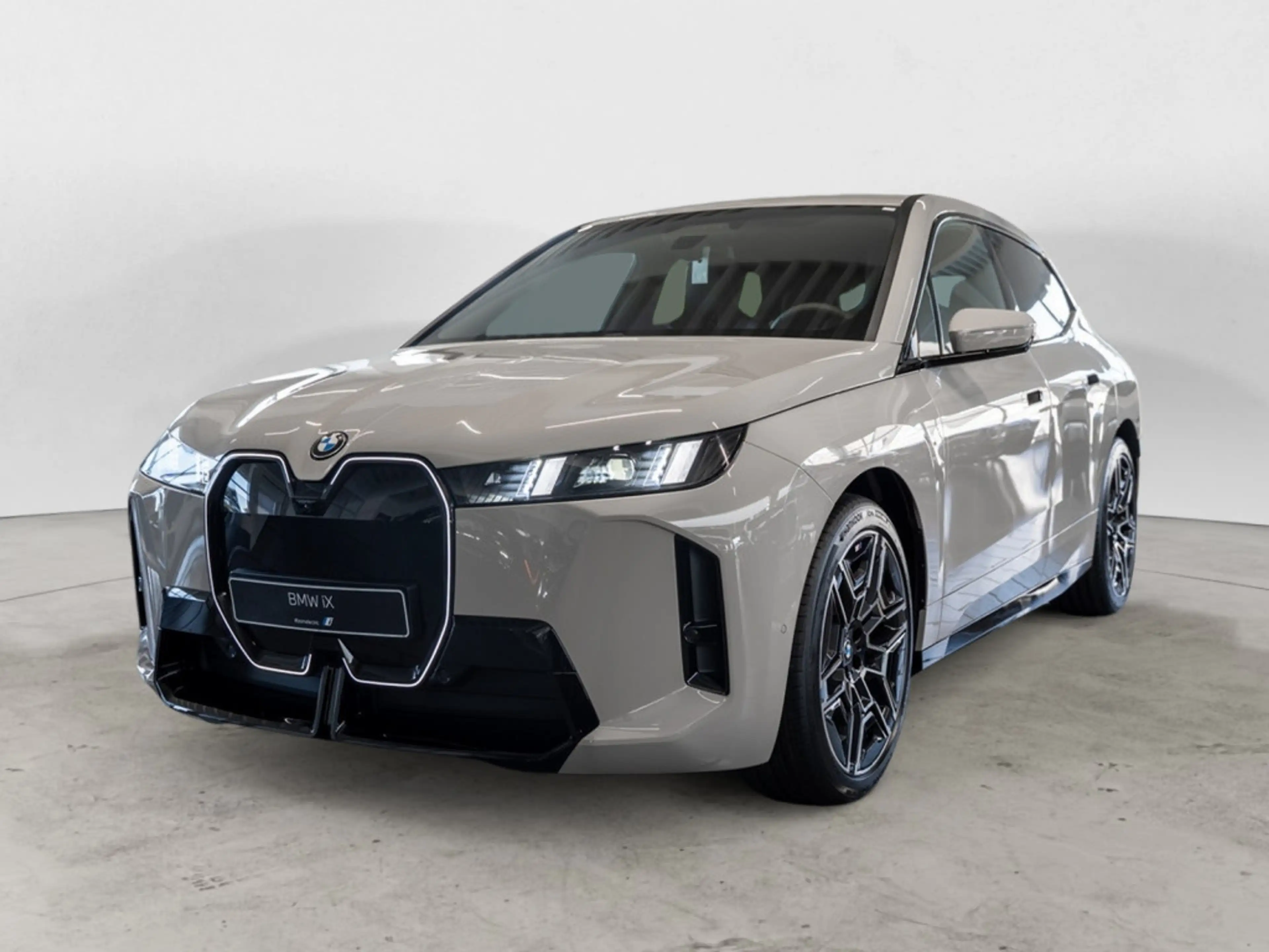 BMW iX xDrive45 M Sport FACEL. 360° LED ACC AHK — photo 2