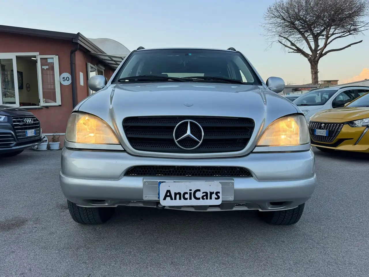 Mercedes-Benz ML 320 cat, foto 1