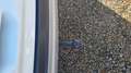 Ford Kuga 2.0 TDCI 150CH STOP\u0026START TITANIUM 4X2 Wit - thumbnail 17