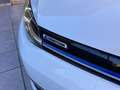Volkswagen Golf 1.5 TSI Evo BM Advance DSG7 96kW Blanco - thumbnail 25