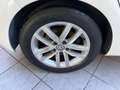 Volkswagen Golf 1.5 TSI Evo BM Advance DSG7 96kW Blanco - thumbnail 26
