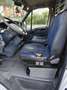 Iveco Daily - thumbnail 4