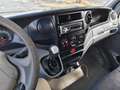 Iveco Daily - thumbnail 14