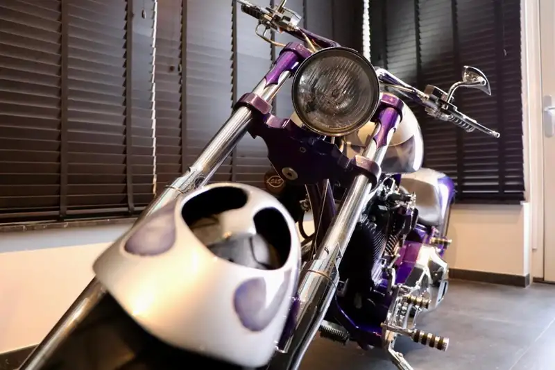 Harley-Davidson Big Bear SLED - foto 3