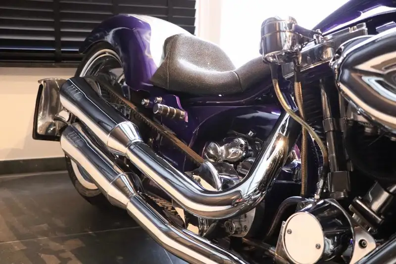 Harley-Davidson Big Bear SLED - foto 5